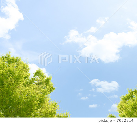 新緑の風景 新緑の風景 7052514