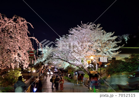 京都の夜桜 7052515