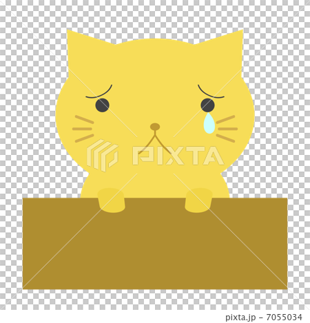 捨て猫 7055034