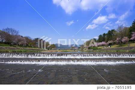 鴨川 鴨川 7055195