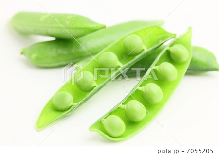 グリーンピース　野菜　豆 7055205
