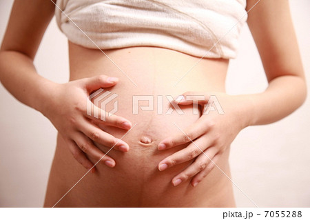 妊婦のお腹 妊婦のお腹 7055288