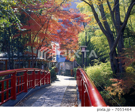 秋の修善寺温泉 7055464