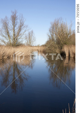 Oostvaardersplassen nature reserve (the Netherlands) Oostvaardersplassen nature reserve (the Netherlands) 7055696
