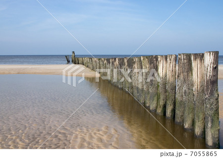 Dutch coastline near Schoorl 7055865