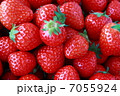 イチゴ 7055924