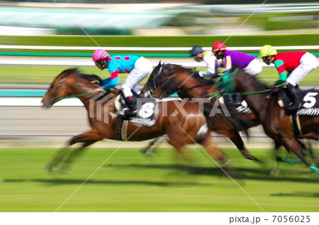 競馬 7056025