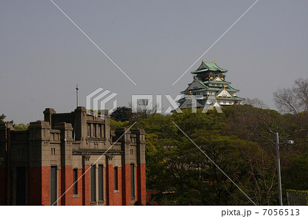 新緑の大阪城 7056513