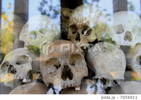 キリングフィールド キリングフィールド 7056911