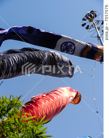 子供の日イメージ~鯉のぼり~ 子供の日イメージ~鯉のぼり~ 7057076