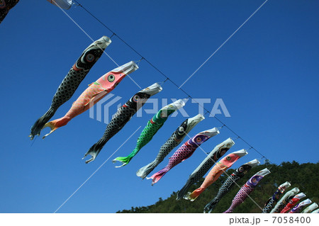 青空を泳ぐ鯉のぼり 7058400