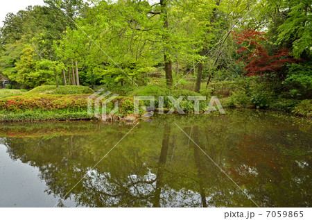 野田散歩・清水公園　もみじ谷 7059865