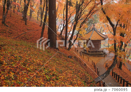 香嵐渓の紅葉 7060095