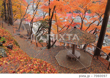 香嵐渓の紅葉 7060097