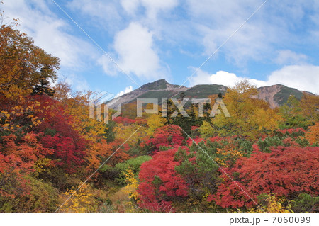 位ヶ原の紅葉 7060099