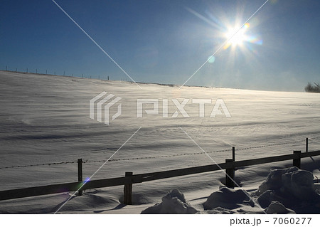 茶臼山高原牧場の冬 茶臼山高原牧場の冬 7060277