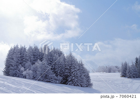 菅平高原スキー場 7060421