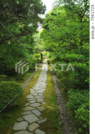 有楽苑　如庵への石畳 7061728