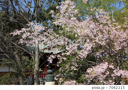 浅間神社 7062115