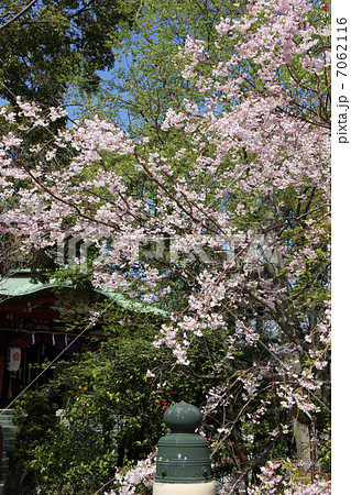 浅間神社　 7062116
