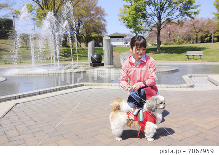 シーズー犬と若い女性 7062959