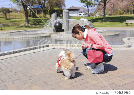 シーズー犬と若い女性 7062960