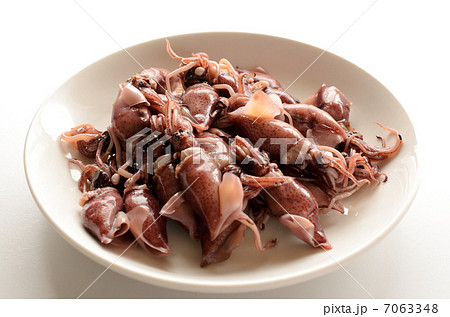 ほたるいか 7063348