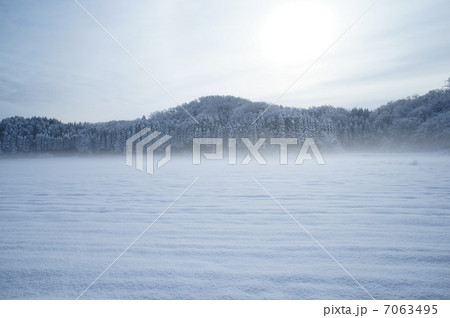 雪原 雪原 7063495