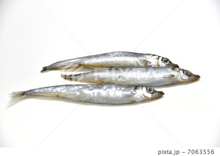 アイスランド産子持ちししゃも アイスランド産子持ちししゃも 7063556