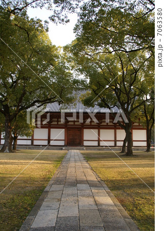 東寺講堂 7063580