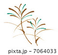 すすき 7064033