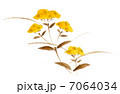 女郎花 7064034