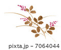 萩 7064044