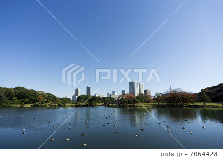 浜離宮庭園 浜離宮庭園 7064428