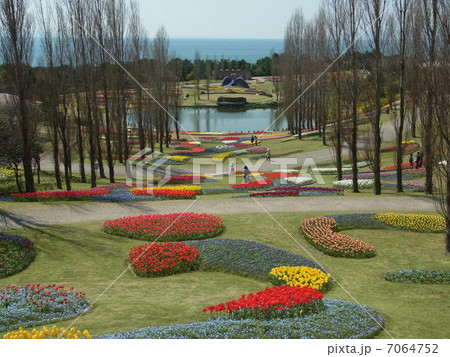 国営明石海峡公園 国営明石海峡公園 7064752