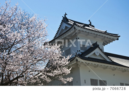 仙台城、隅櫓と桜 7066728