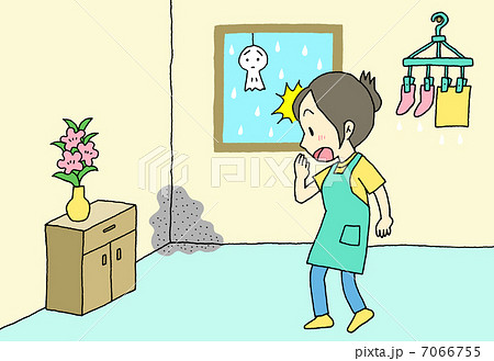部屋　カビ　女性 7066755