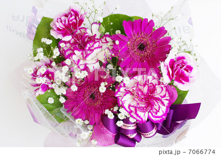 春の花束(カーネーション&かすみ草) 春の花束(カーネーション&かすみ草) 7066774