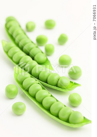 グリーンピース 野菜 豆 グリーンピース 野菜 豆 7066931