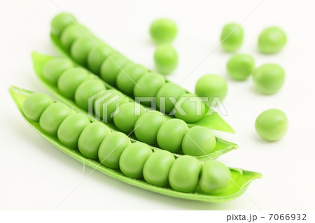 グリーンピース 野菜 豆 グリーンピース 野菜 豆 7066932