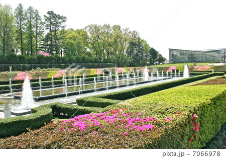 神代植物公園 7066978