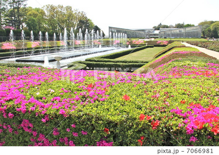 神代植物公園 神代植物公園 7066981