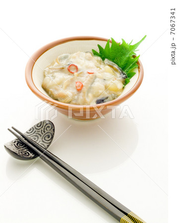 鰊 切り込み 鰊 切り込み 7067341