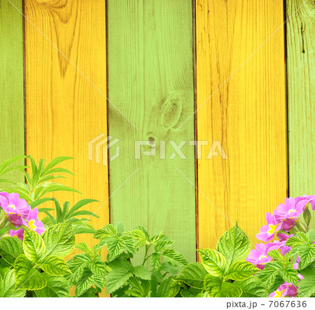 Summer background Summer background 7067636