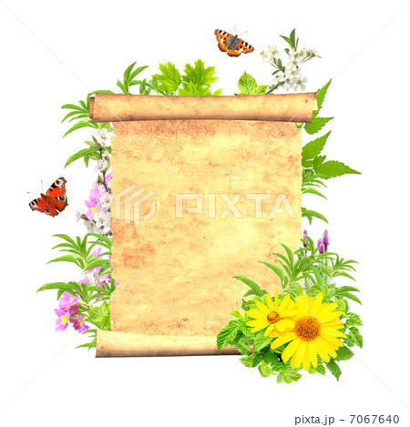 Message of nature Message of nature 7067640