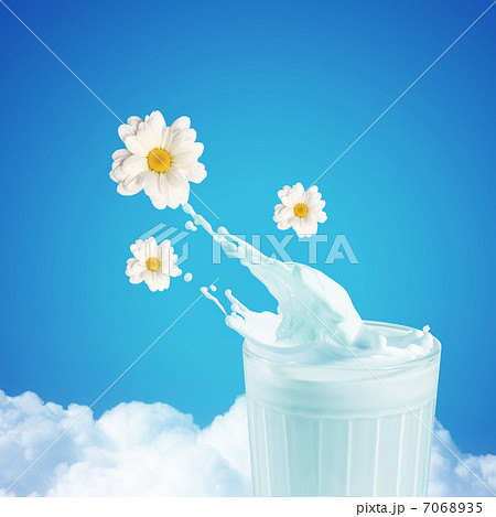 Fresh milk in the glass 7068935