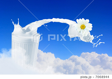 Fresh milk in the glass 7068944