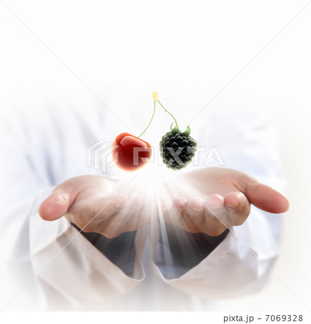 ripe red and black cherry berries ripe red and black cherry berries 7069328