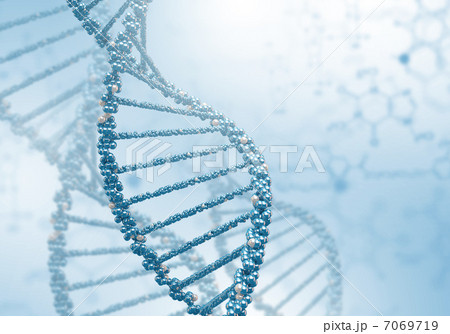 DNA Strand DNA Strand 7069719