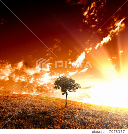 Rural landscape and shining sun Rural landscape and shining sun 7073377